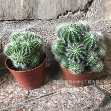 ���^���������l��z�����y���k��������������Ԉ@�־G��������