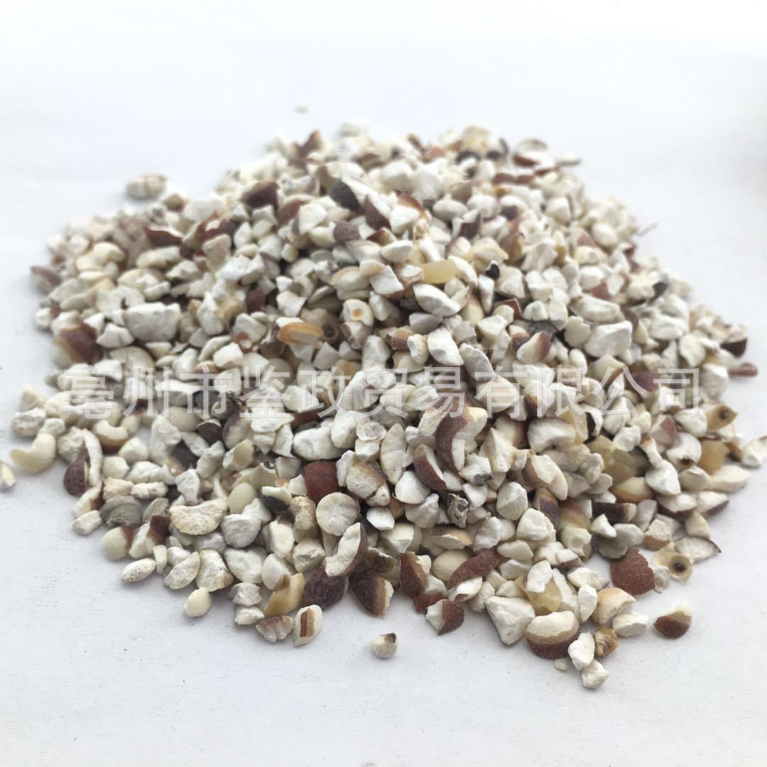 Dried Gorgon Fruit Broken Slices Qian Shi Euryale Ferox Seeds Tea and Soup Ingredient Bulk 500g quality and texture