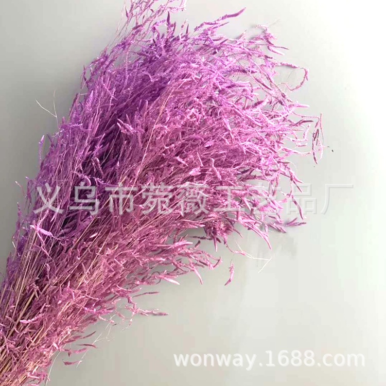 微信图片_20200209024544