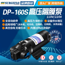 DP-160S 110v/220V高压隔膜可乐机泵净水器高扬程喷雾洗车加压泵