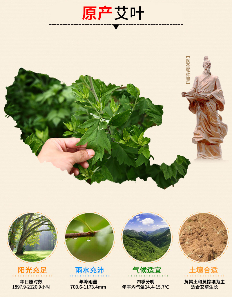 Wu Yuan Su Moxa Cones 108 Pcs Handmade Five Year Aged Moxibustion Sticks for Home Use quality and texture