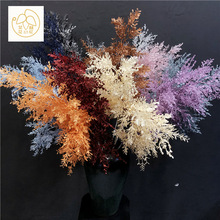 ����6�滨���� ����������������c�Y��c��Y�õ���b����m����