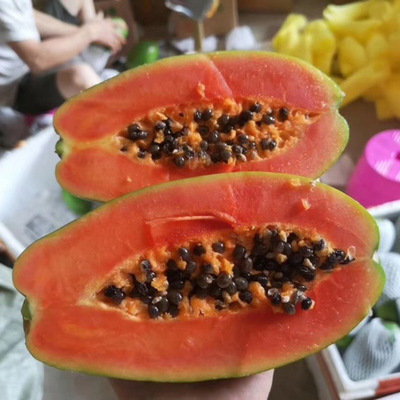 廣西紅心木瓜5斤10斤裝新鮮當季水果 現摘現發果園直供壹件代發