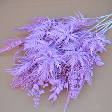 ��ɫϵ��c���滨�� ����ɫ���û�Y�����}����ާ���b����ϼٻ�