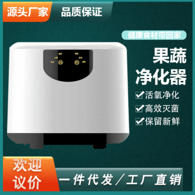 家用活氧果蔬消毒机解毒机 多功能食材消毒清洗净化器洗菜机 礼品|ms
