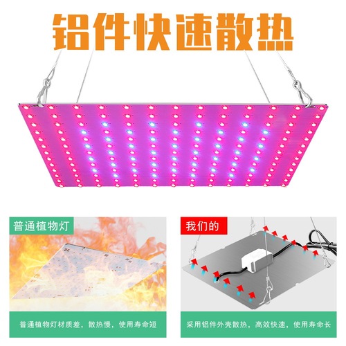 Qian Run Lighting LED Plant Growth Light Red and Blue Spectrum Growing Light Indoor Greenhouse Seedling Quantum Board Plant Light