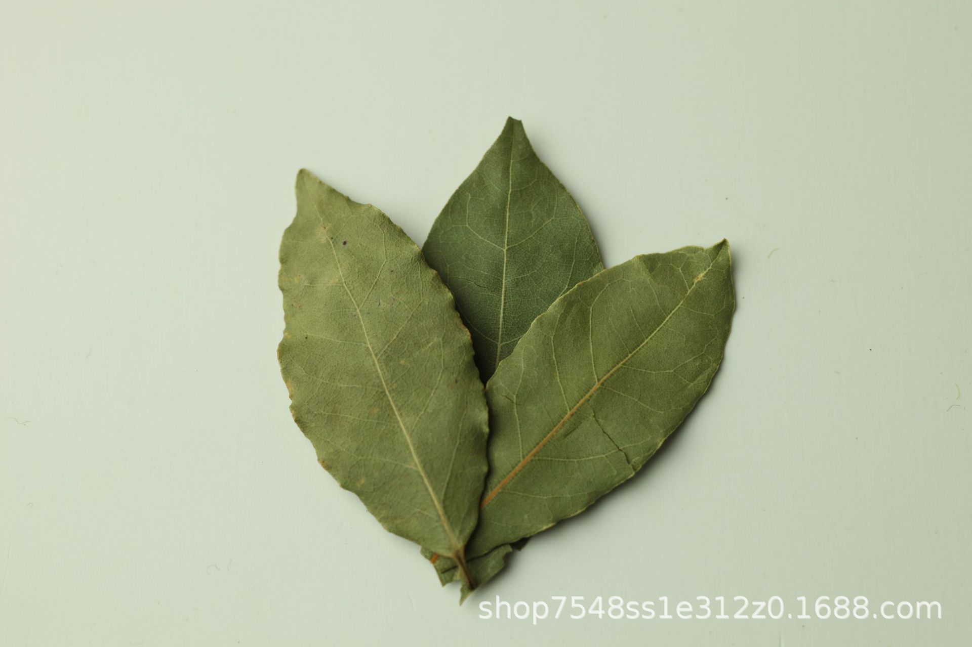 月桂叶是香叶吗,效,新鲜(第15页)_大山谷图库