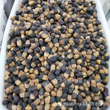 菩提樹種 菩提樹種批發 促銷價格 產地貨源 阿里巴巴