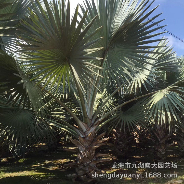 IMG_5482(20200224-233409)