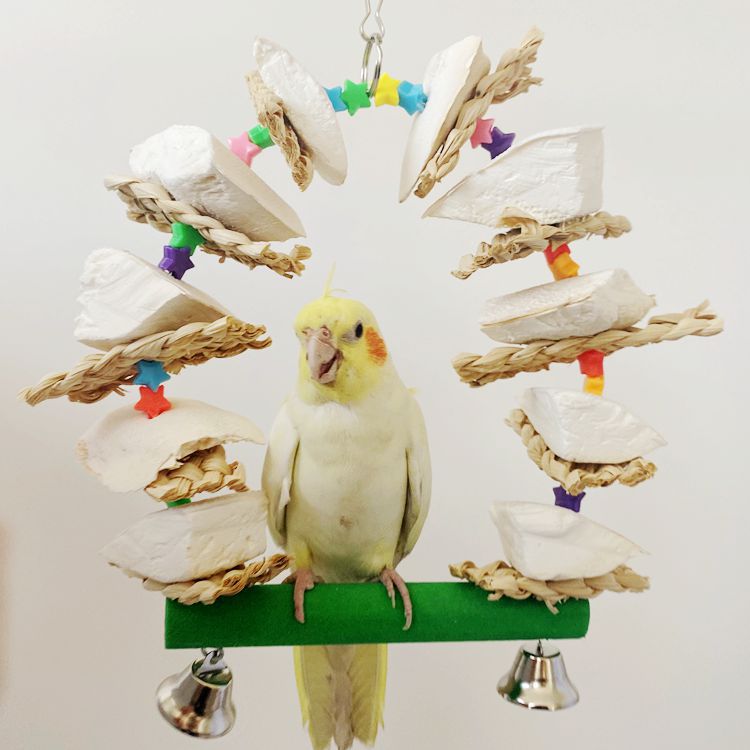 鹉悦  鹦鹉磨砂磨爪磨嘴墨鱼骨补钙秋千鸟玩具用品吊环吊桥站杠