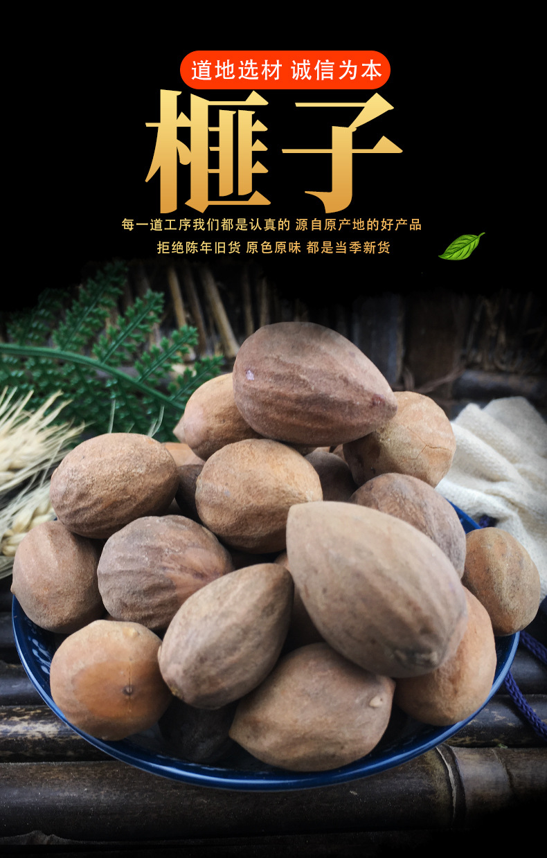 Dried Torrey Seeds Fei Zi 榧子 Raw Chinese Herbal Seeds Sun Dried Culinary and TCM Use 500g key features