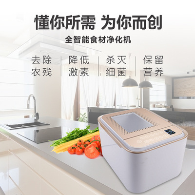 果蔬消毒机 全自动家用洗菜机果蔬毒机 超声波食材净化器生态仪|ms