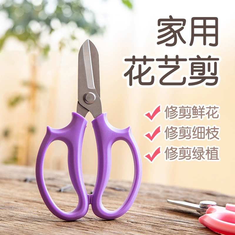 Садовые ножницы для обрезки из нержавеющей стали Цветочная композиция цветок Цветочные ножницы