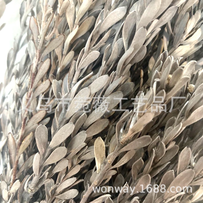 微信图片_20200423120932