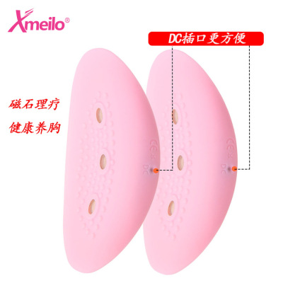 新款 多功能电动美胸按摩仪 美胸那个养生保健 工厂贴牌 生产批发|ms