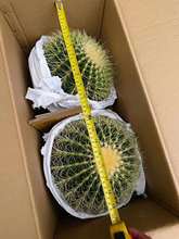 ���lС�����������҃�ֲ������՚�  ����2���b