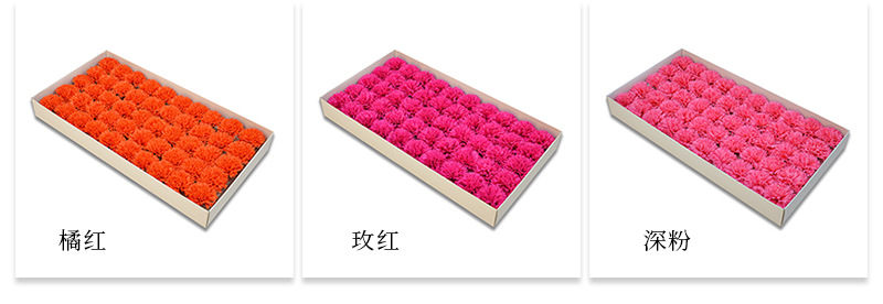 AL康乃馨详情_04