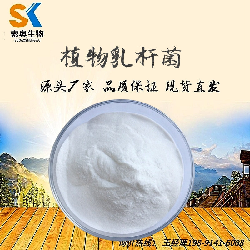 植物乳杆菌 乳酸菌 益生菌原料 发酵 厂销 冻干包被 食品原菌粉
