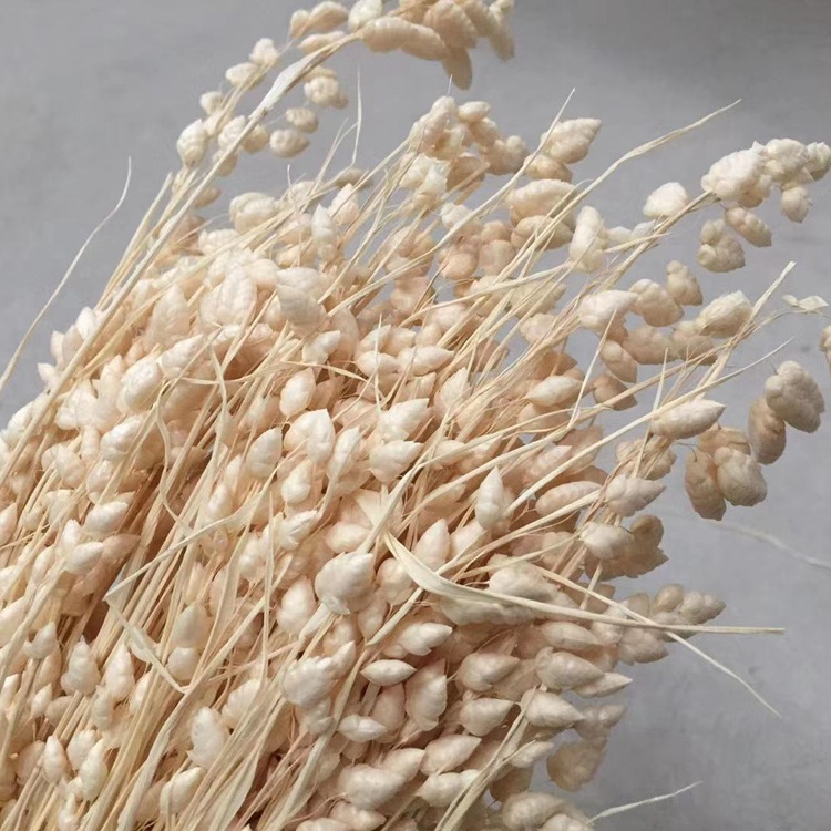 微信图片_20200129000602