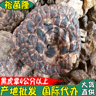 ��ԣ��¡���ڻ��� �n�����k�ܠ�Ģ��B����Ʒ �ڻ��ƾ��a�����l