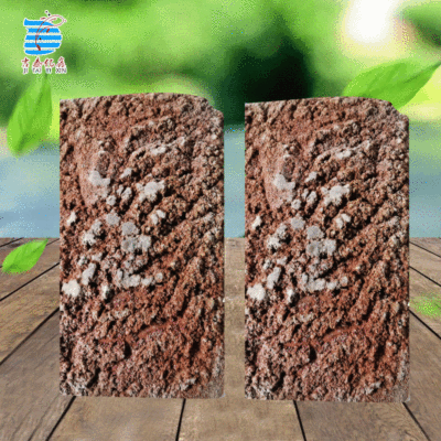 厂家供应大水蚤 大枝角类喂观赏鱼虾虫小型饲料金鱼锦鲤饲料