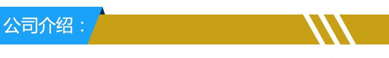 公司介绍