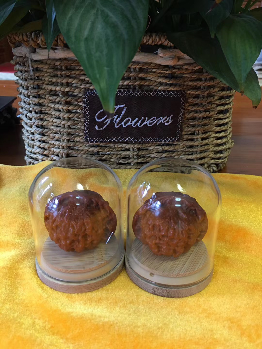 微信图片_20200718152301