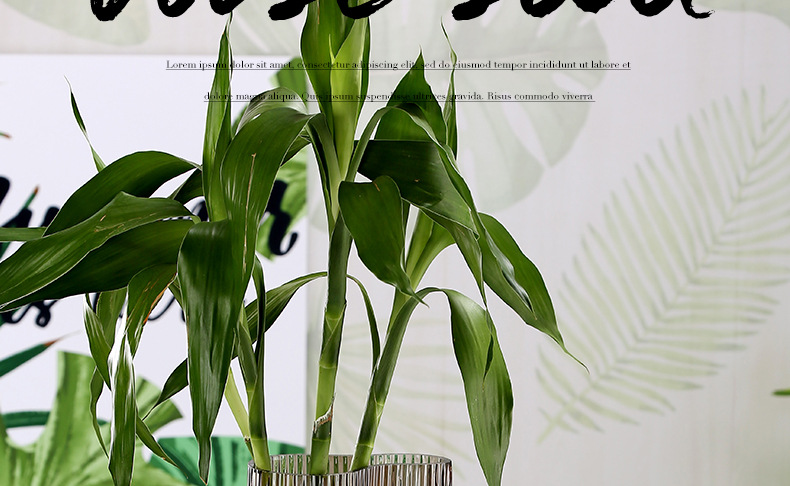 恒博花瓶详情_04