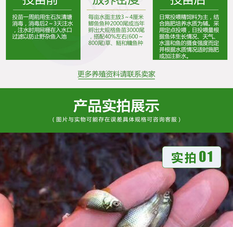 鲫鱼详情页_04