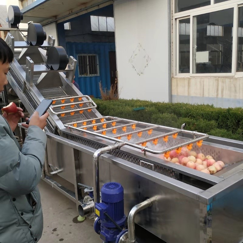 商用气泡喷淋洗水果机器 大型全自动苹果清洗设备 山楂清洗风干机