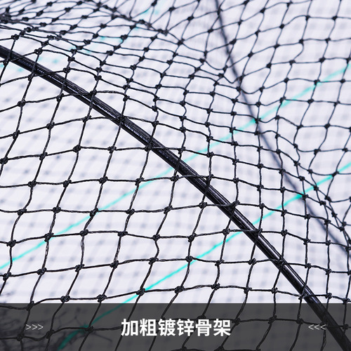 Wholesale collapsible basket spring basket eel crab lobster loach fishing net various specifications fishing equipment