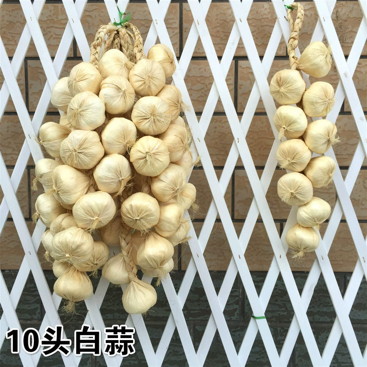 Vegetable model pendant fruit and vegetable window fake vegetable corn chili pepper, garlic decoration farmhouse fake fake