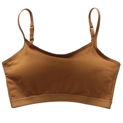 Pure cotton beautiful back sling Internet celebrity hot-selling chest-wrapped girl student gathered anti-exposure underwear all-in-one bra tube bra