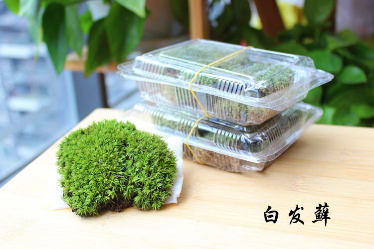 IMG_4838_副本1.jpg