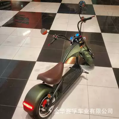 Harley Motorcycles for Export, Adult: Elektrikli motosikletlər