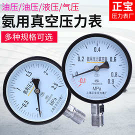 上海正宝压力表厂 YA-100氨用压力表0-1.6MPA真空防腐氨用压力表