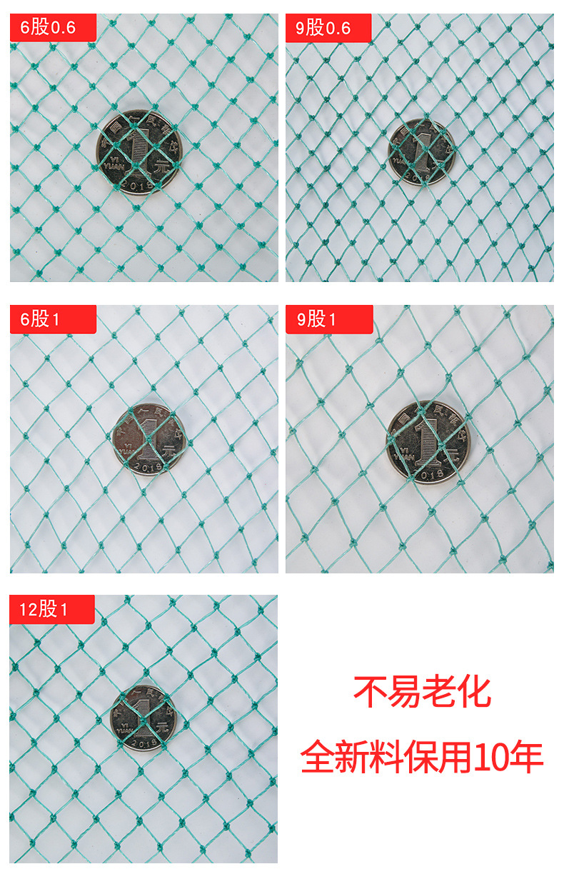 名龙-改-拷贝_01