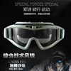 wholesale Locust skiing protect glasses cross-country motorcycle Windbreak Goggles outdoors Splash CS Goggles
