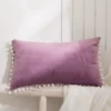 Hibiscus purple