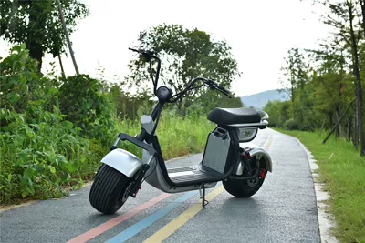 Elektrikli motosikletlər High-Power Electric Motorcycle Deluxe Version