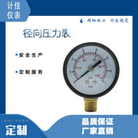 Y50径向黑壳可定制耐用压力表坚固双刻度