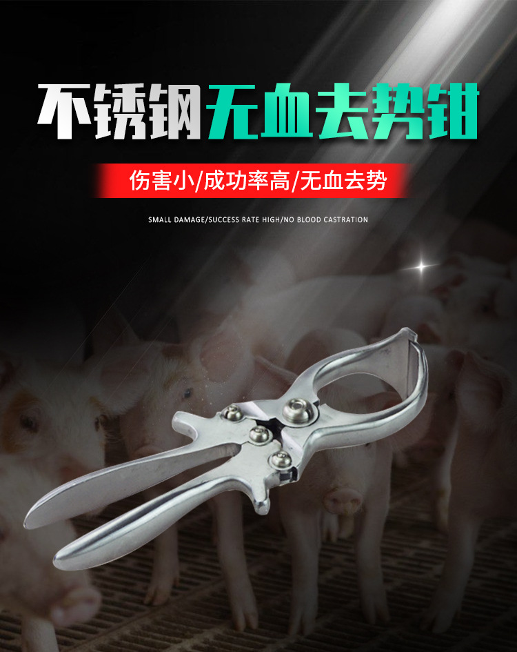 不锈钢无血去势钳_01.jpg