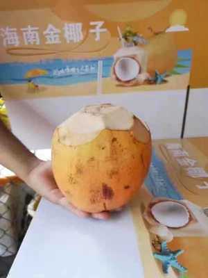 Gift box packaging Hainan gold Coconut Season fresh Fruit 6 straw Thailand Coconut