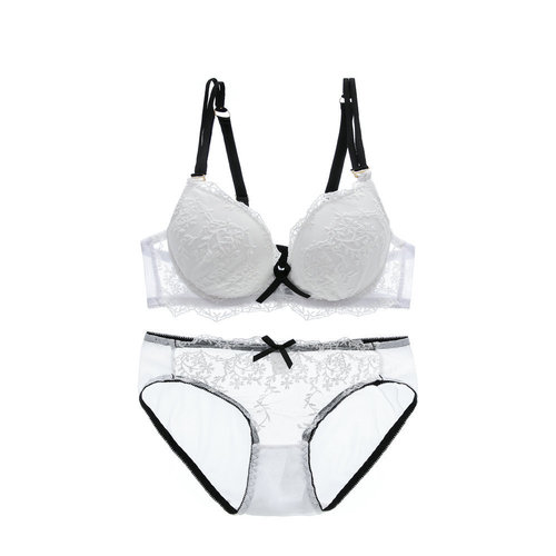 Cross-border foreign trade dropshipping European and American sexy lace with inserts and underwire push-up underwear women's bra set