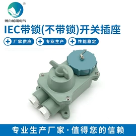 其他专用灯具;信号灯;船型开关