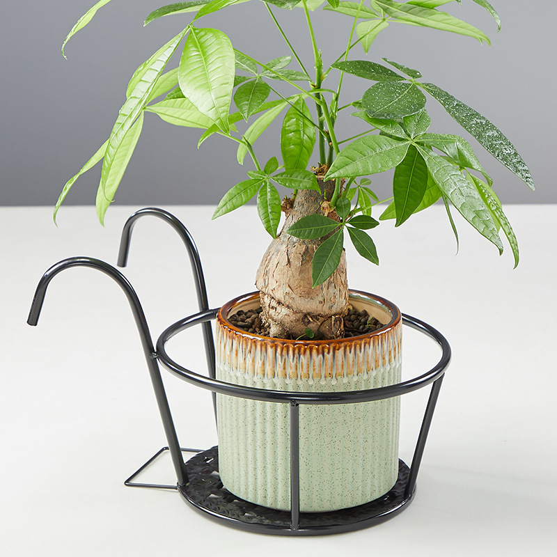 Solaro Flower Stand Balcony Railing Household Decor Iron Fence Creative Simple Planter Hook for Succulents and Pothos