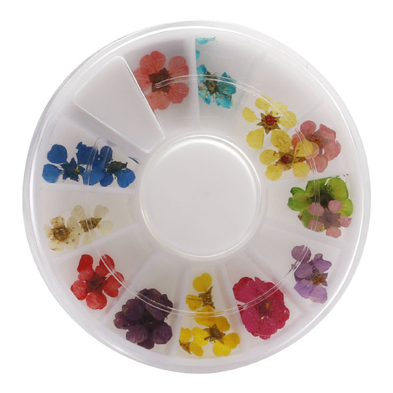 Disco de manicura flor seca 12 color japonés tridimensional natural pequeña flor seca manicura decoración disco pequeña flor seca