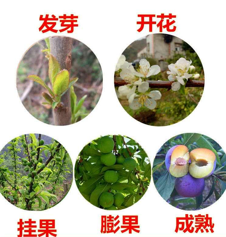 a80525c86001d59d13a182670fe9f4