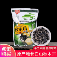 �|���L��ɽ��ľ��Сľ���خa���lɢ؛��ľ��500��С�����؛Ұ��