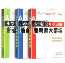 小学语文数学英语升学夺冠新考题大集结全套3册 小升初专项训练